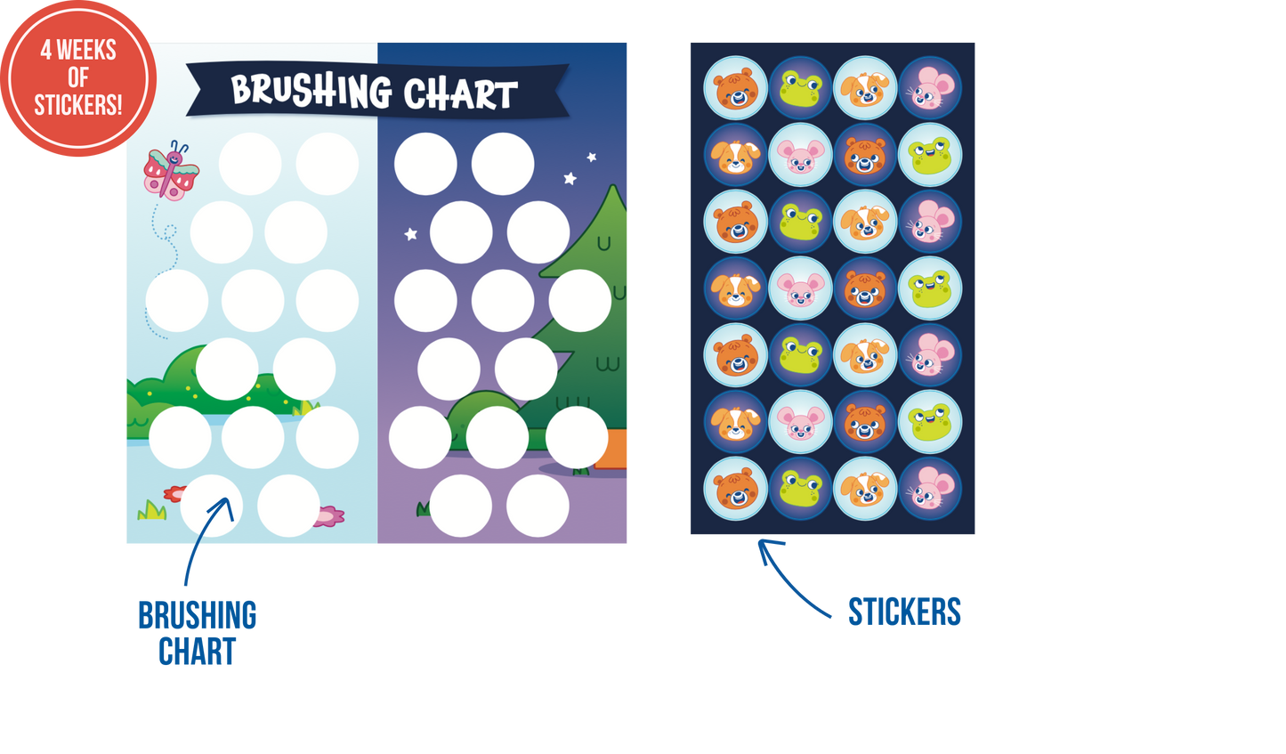 Pre-Order Toothbrushing Chart